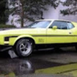 Meet your Posher, Gregorio